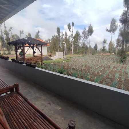 Elen Homestay By Abm Bromo Luaran gambar