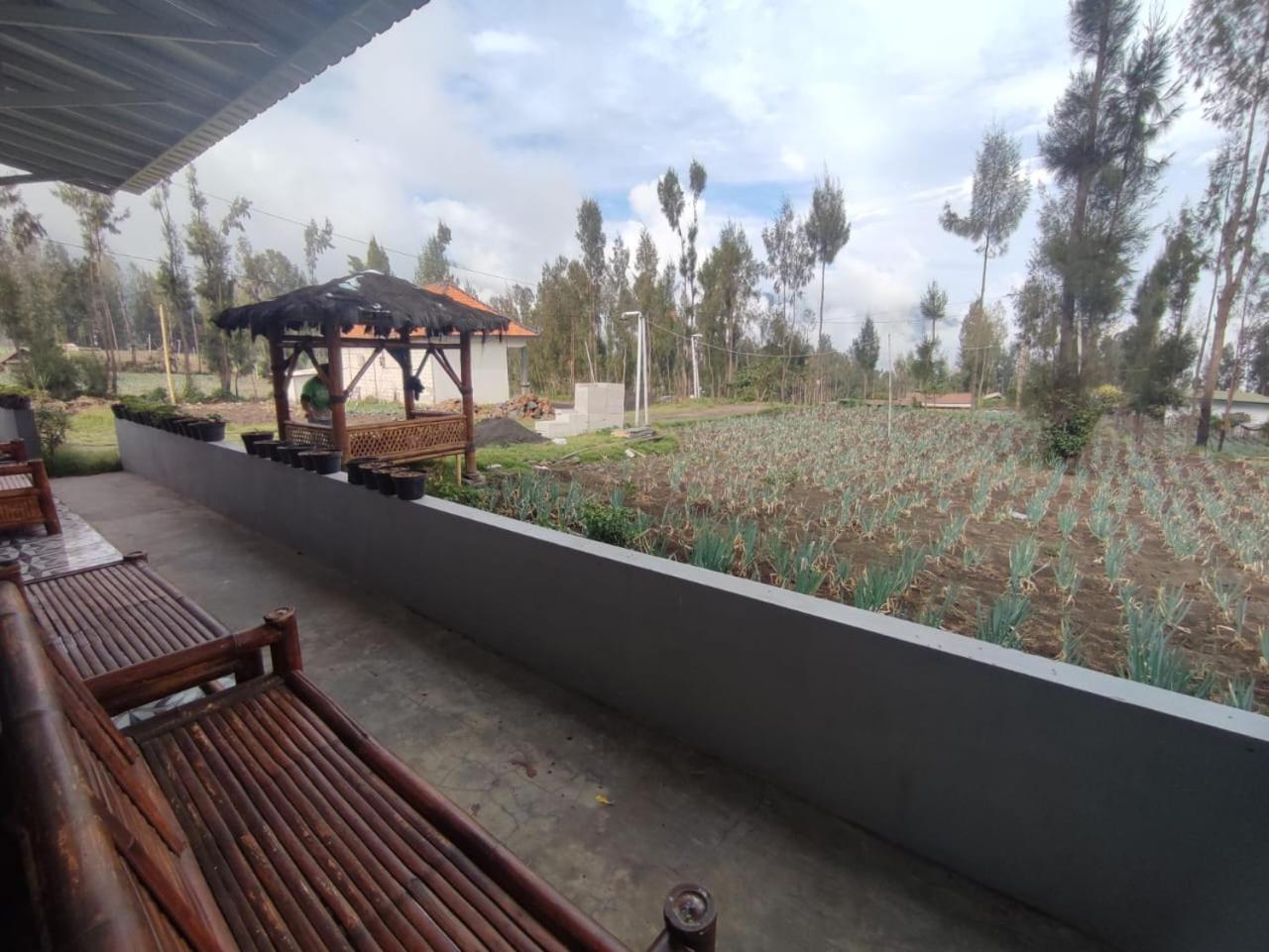 Elen Homestay By Abm Bromo Luaran gambar