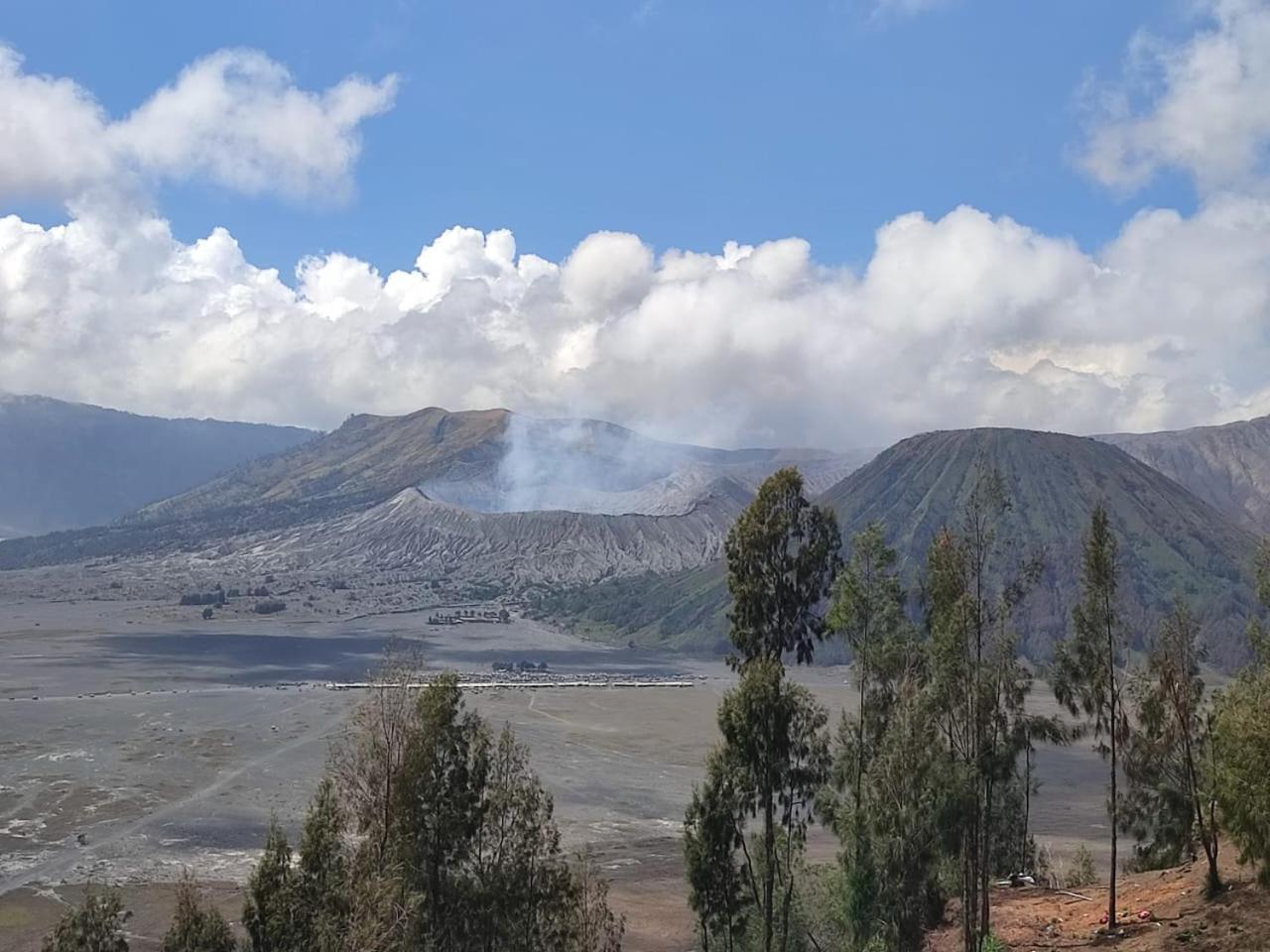 Elen Homestay By Abm Bromo Luaran gambar